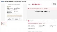 股市配资平台排名|仅用22分钟斯诺威矿业股权首轮竞拍触及4亿封顶价哄抢背后