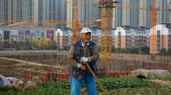 股票配资网站:今年将进一步提升派息率移动客户规模与价值稳步提升