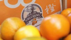 股票小额配资: 4月25日巨能股份申购 值得打吗？
