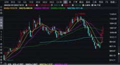 {专业期货配资}鸡肉多股大涨 万亿级市场下的超级鸡周期会来吗？