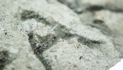 上网配资炒股:净利近腰斩 华新水泥业绩连续三年下滑 市值较高点缩水超40%