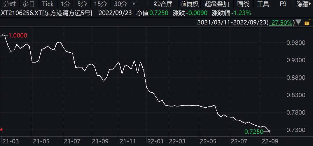 股票杠杆公司