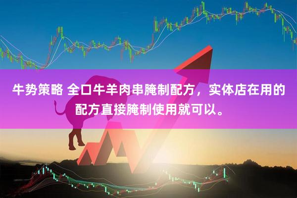 牛势策略 全口牛羊肉串腌制配方，实体店在用的配方直接腌制使用就可以。