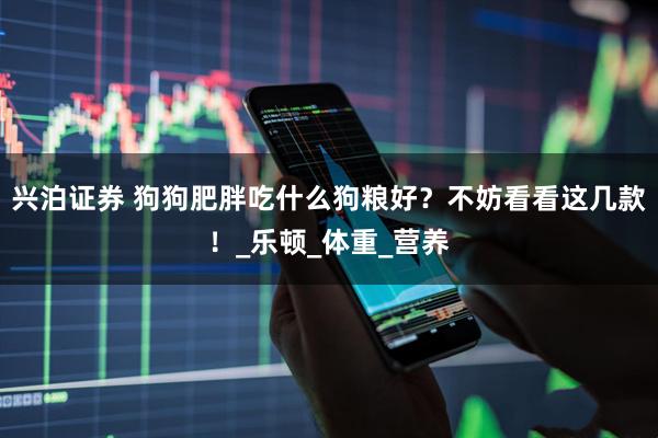 兴泊证券 狗狗肥胖吃什么狗粮好？不妨看看这几款！_乐顿_体重_营养