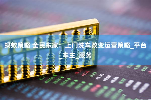 蚂蚁策略 全民东家：上门洗车改变运营策略_平台_车主_服务
